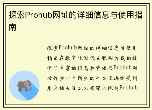 探索Prohub网址的详细信息与使用指南